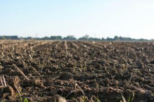 Il 33% dei suoli mondiali è degradato, per pratiche agricole non sostenibili e pressioni climatiche Il 33% dei suoli mondiali è degradato, per pratiche agricole non sostenibili e pressioni climatiche