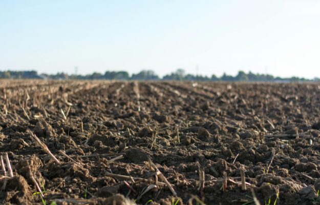 AGRICOLTURA, AMBIENTE, BIODIVERSITÀ, save soil, SUOLO, Non Solo Vino