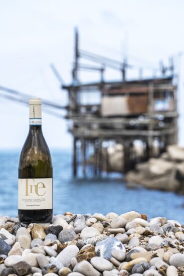 Il “Tollo Wine Festival” a Tollo, con i vini della piccola Tullum Docg e d’Abruzzo a due passi dalla Costa dei Trabocchi (ph: Cantina Tollo)