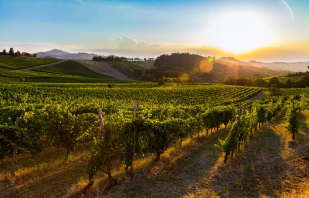 CANTINA TERRE D'OLTREPO, CANTINE, CENTINAIO, OLTREPÒ PAVESE, vino, Italia