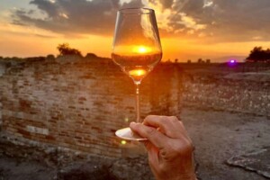 Dalle Langhe a Soave, da Bolgheri al Chianti Classico, arrivando a Sibari, tra vino e cultura Dalle Langhe a Soave, da Bolgheri al Chianti Classico, arrivando a Sibari, tra vino e cultura