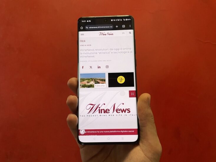 Il lancio del nuovo “ecostistema digitale” WineNews (nel 2018)