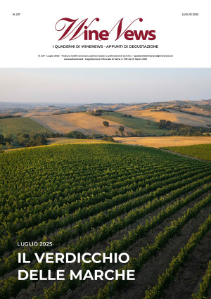 I Quaderni di WineNews - Il Verdicchio delle Marche