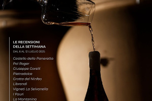 I Vini di WineNews - N. 370