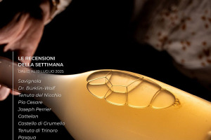 I Vini di WineNews - N. 371