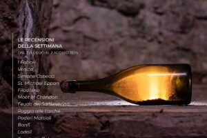 I Vini di WineNews - N. 373