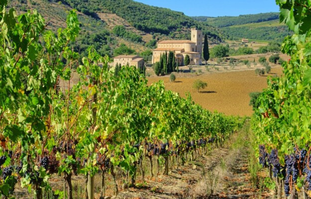 CIVILTÀ CONTADINA, MASSIMO MONTANARI, STORIA AGRARIA, TERRITORI, Non Solo Vino