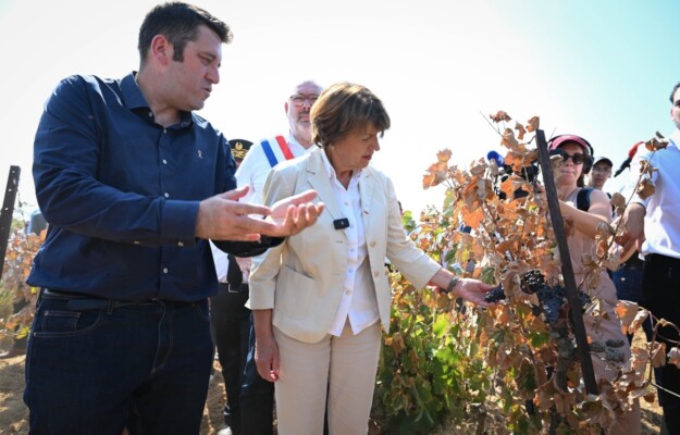 ANNIE GENEVARD, AREV, CEEV, COMMISSIONE UE, COPA COGECA, DAZI, FEVS, FRANCIA, MINISTRO DELL'AGRICOLTURA FRANCESE, UE, USA, VINO FRANCESE, Mondo