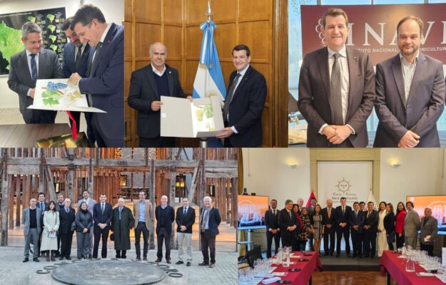 ARGENTINA, BRASILE, CILE, JOHN BARKER, MERCOSUR, OIV, PERù, SUDAMERICA, URUGUAY, Mondo