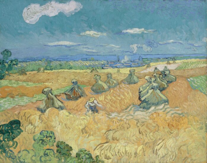 I campi di grano di Van Gogh (credit: Facebook/Linea d’ombra)