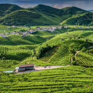 The Prosecco DOCG Hills nominated for “Italian City of Wine” 2026