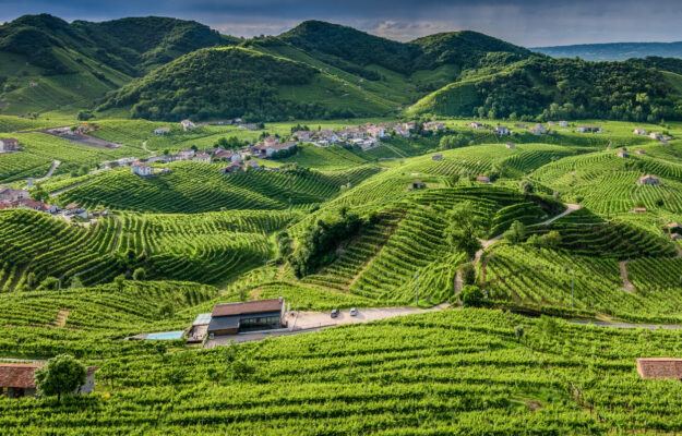 CITTÀ ITALIANA DEL VINO, COLLINE DEL PROSECCO, CONEGLIANO VALDOBBIADENE, RECEVIN, REGIONE VENETO, vino, Italia