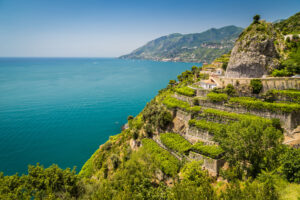Le limonaie e il sistema agricolo terrazzato di Amalfi tra i paesaggi “Giahs” tutelati dalla Fao Le limonaie e il sistema agricolo terrazzato di Amalfi tra i paesaggi “Giahs” tutelati dalla Fao