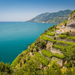 Le limonaie e il sistema agricolo terrazzato di Amalfi tra i paesaggi “Giahs” tutelati dalla Fao
