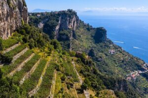&ldquo;Terre alte&rdquo;, il vino &egrave; fondamentale: tutela la salute del territorio e delle sue comunit&agrave;