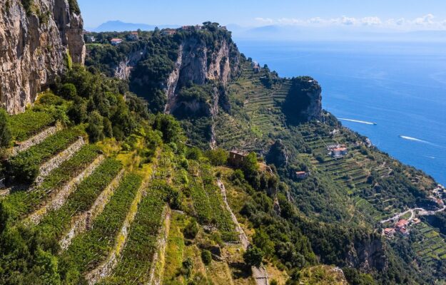 &ldquo;Terre alte&rdquo;, il vino &egrave; fondamentale: tutela la salute del territorio e delle sue comunit&agrave;