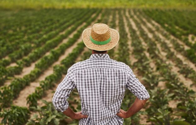 AGRICOLTURA, assunzioni, LAVORATORI AGRICOLI, LAVORATORI STRANIERI, LAVORO, MINISTERO DEL LAVORO, PERSONALE, TURISMO ENOGASTRONOMICO, UNIONCAMERE, Non Solo Vino