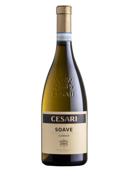 GERARDO CESARI, VENETO, Su i Vini di WineNews