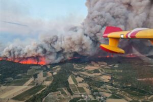 Incendio nel Sud-Ovest della Francia, 16.000 ettari in fumo: i vignerons chiedono aiuto al Governo Incendio nel Sud-Ovest della Francia, 16.000 ettari in fumo: i vignerons chiedono aiuto al Governo