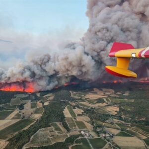 Incendio nel Sud-Ovest della Francia, 16.000 ettari in fumo: i vignerons chiedono aiuto al Governo