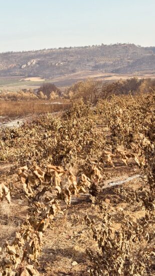 L’incendio nell’Aude, in Francia, ha bruciato 16.000 ettari (ph: Prefet de l’Aude/Cellier Des Demoiselles)