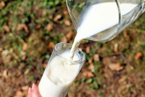 Se i consumatori italiani conoscono (molto) poco il latte che bevono e il settore lattiero-caseario Se i consumatori italiani conoscono (molto) poco il latte che bevono e il settore lattiero-caseario