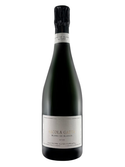 BLANC DE BLANCS, BRUT NATURE, METODO CLASSICO, NICOLA GATTA, Su i Quaderni di WineNews