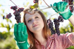 Se la spesa si fa a scuola: arriva il marchio “Made in Mim” per i prodotti degli istituti agrari Se la spesa si fa a scuola: arriva il marchio “Made in Mim” per i prodotti degli istituti agrari