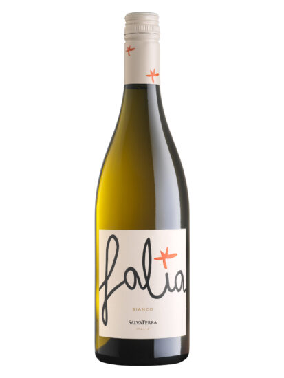 SALVATERRA, VENETO, VINO BIANCO, Su i Vini di WineNews