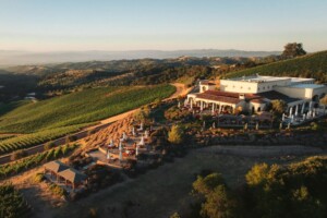 Treasury Wine Estates, il marchio Penfolds in Cina traina la crescita dei profitti Treasury Wine Estates, il marchio Penfolds in Cina traina la crescita dei profitti