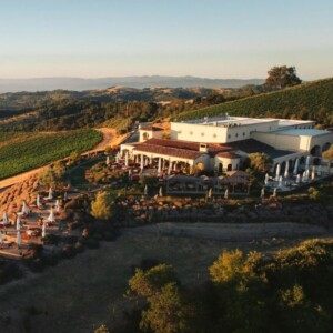 Treasury Wine Estates, il marchio Penfolds in Cina traina la crescita dei profitti