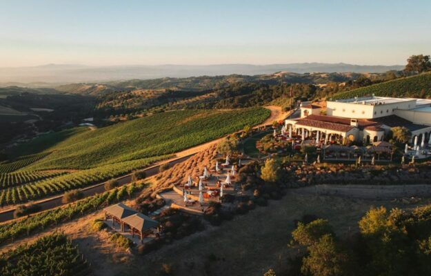 AUSTRALIA, CINA, DAZI, FATTURATO, LUSSO, PENFOLDS, TREASURY WINE ESTATES, VINO AUSTRALIANO, Archivio