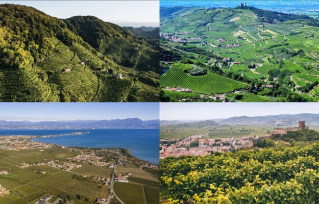 CANER, TRITTICO VITIVINICOLO, VENDEMMIA, VENETO, vino, Italia
