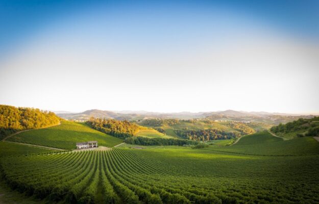 CONSORZIO VINI OLTREPO', FRANCESCA SERALVO, TERRE D'OLTREPO', Italia
