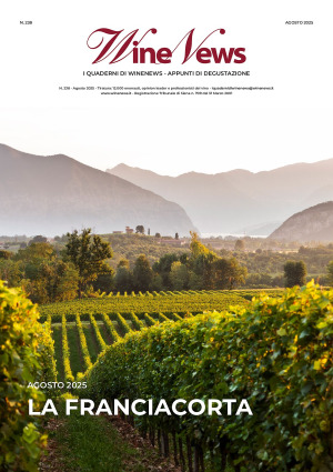 I Quaderni di WineNews - La Franciacorta