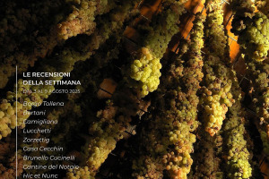 I Vini di WineNews - N. 374