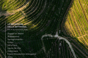 I Vini di WineNews - N. 375