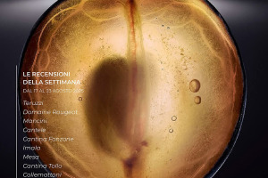 I Vini di WineNews - N. 376