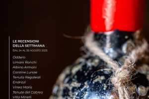 I Vini di WineNews - N. 377