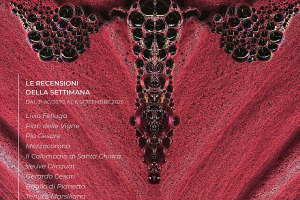 I Vini di WineNews - N. 378