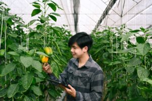 Scuola al via, ma gli istituti agrari ed alberghieri non “scaldano il cuore” degli studenti Scuola al via, ma gli istituti agrari ed alberghieri non “scaldano il cuore” degli studenti