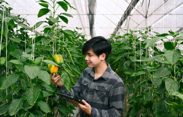 ISTITUTI AGRARI, ISTITUTI ALBERGHIERI, MINISTERO DELL'ISTRUZIONE, SCUOLA, SCUOLA SECONDARIA, STUDENTI, Non Solo Vino