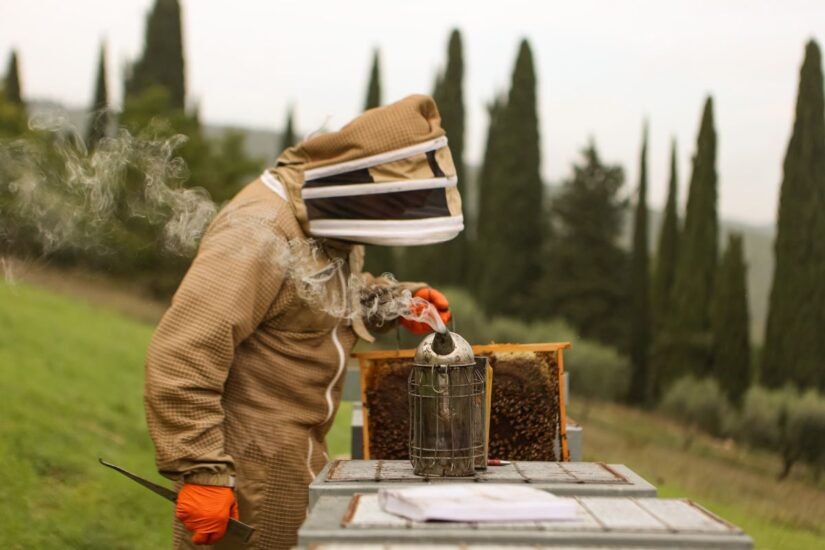 Castello di Meleto in Chianti Classico apre le sue porte e quelle del Parco delle Api