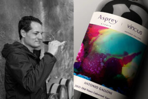 Da critico a firma di vini di lusso: il progetto di Antonio Galloni, Vinous e Asprey Da critico a firma di vini di lusso: il progetto di Antonio Galloni, Vinous e Asprey