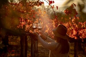 Ognissanti: boom di presenze in agriturismo, tra italiani e stranieri, grazie all’enoturismo Ognissanti: boom di presenze in agriturismo, tra italiani e stranieri, grazie all’enoturismo