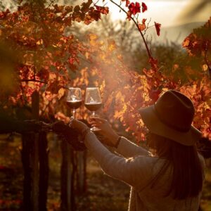 Ognissanti: boom di presenze in agriturismo, tra italiani e stranieri, grazie all’enoturismo