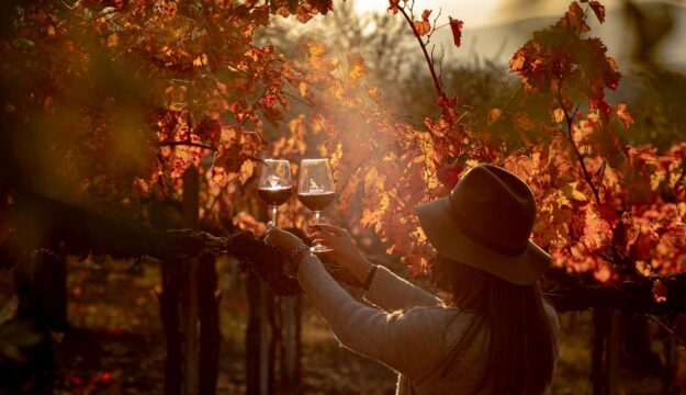 Ognissanti: boom di presenze in agriturismo, tra italiani e stranieri, grazie all’enoturismo