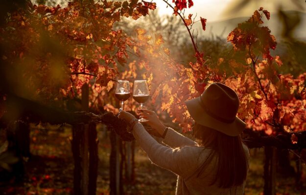 Ognissanti: boom di presenze in agriturismo, tra italiani e stranieri, grazie all’enoturismo AGRITURISMI, CAMPAGNA, CAMPAGNA AMICA, Coldiretti, FESTA DI OGNISSANTI, TURISMO ENOGASTRONOMICO, Non Solo Vino