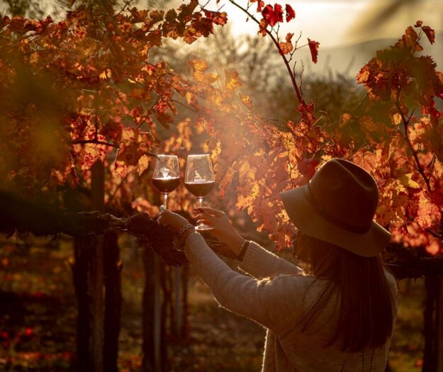 Ognissanti: boom di presenze in agriturismo, tra italiani e stranieri, grazie all’enoturismo