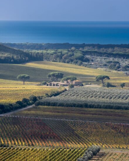 Foliage a Bolgheri (ph: Comunità Turistica Costa degli Etruschi)